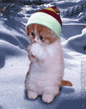 le ChaT ...